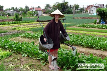 Tra Que Village biking and cooking private tour