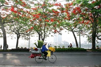 Hanoi Biking Tour