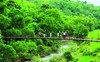 Picture of Cuc Phuong National Park One Day Tour