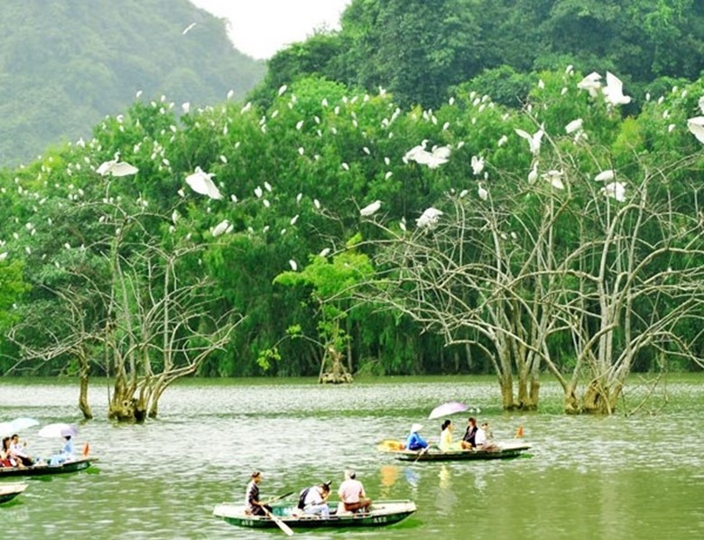 Picture of Hoa Lu - Thung Nham One Day Tour