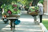 local market hanoi