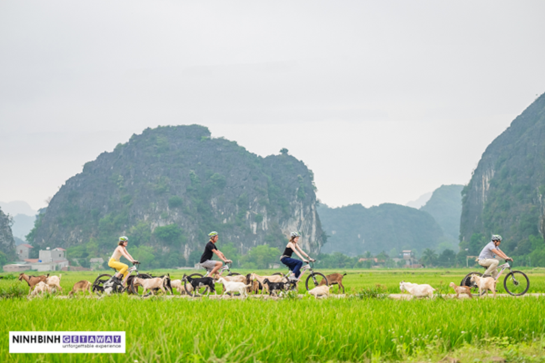 cycling in Tam Coc