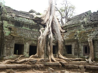 Picture of Day 4: Siem Reap - Angkor Thom - Angkor Wat Temple