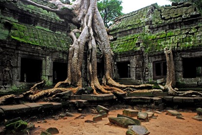 Picture of Day 13: Siem Reap - Angkor Thom - Angkor Wat Temple